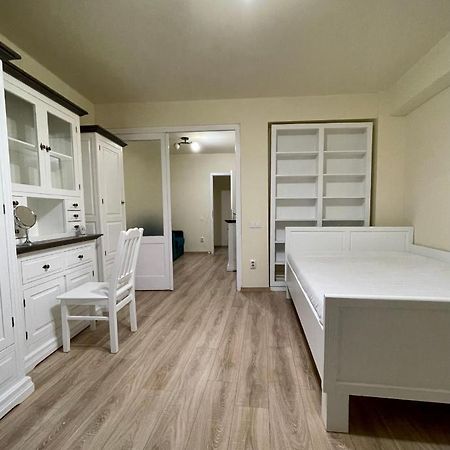 Cozy Central One Bedroom Cluj-Napoca Exterior foto